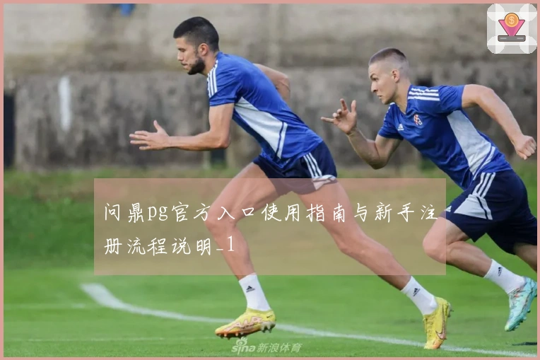 问鼎pg官方入口使用指南与新手注册流程说明_1