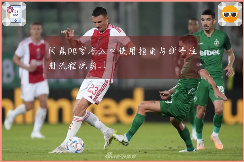 问鼎pg官方入口使用指南与新手注册流程说明_1