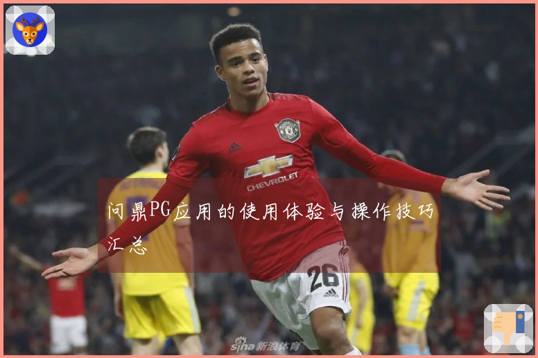 问鼎PG应用的使用体验与操作技巧汇总