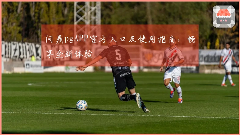 问鼎pgAPP官方入口及使用指南，畅享全新体验