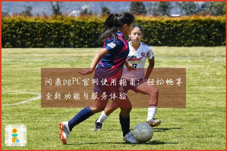 问鼎pgPC官网使用指南：轻松畅享全新功能与服务体验