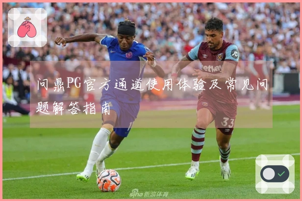 问鼎PG官方通道使用体验及常见问题解答指南