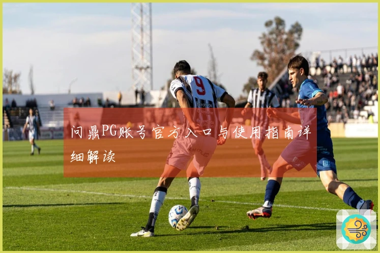 问鼎PG账号官方入口与使用指南详细解读